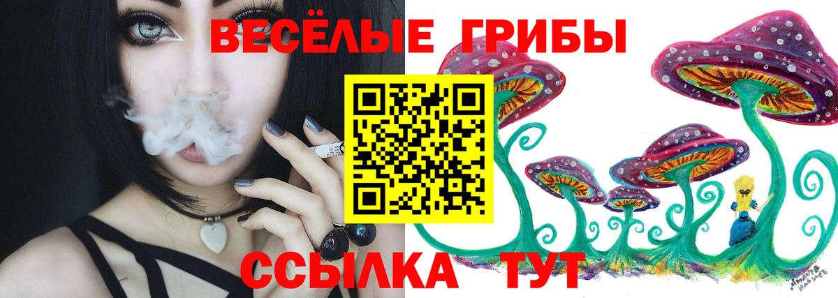 Егорьевск  Галлюциногенные грибы мицелий  Вход с VPN 